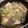 Cooksnap dari Desty Rohmila untuk resep Soup Ikan Gurame Kuah Bening