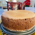 Cooksnap dari Wijaya Veronika untuk resep Chocolate Cotton Sponge Cake / Mudah Lembut Lezat ❤️✨❤️