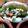 El cooksnap de Andres Rechia cuando hizo Sabich en Pan Árabe.