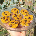 El cooksnap de ⊹⊱ 𝔾𝕚 ⊰⊹ cuando hizo Galletas de avena y harina de garbanzos sabor carrot cake 🥕 sin azúcar ni edulcorante 🥕 veganas.