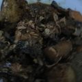 Cooksnap dari Yuni Pinasti untuk resep Semur Daging, Tahu, Kentang