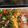 roderick.rowe.7's cooksnap of when they made 7 Layer Dip.