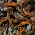 Cooksnap dari Della Herawati untuk resep 6. Kimchi Sawi Putih #dietdiary