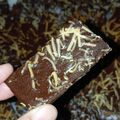 Cooksnap dari Desi Meirina untuk resep Crispy Brownies Cookies ala Lemonilo
