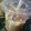 Mariam Azeem (Umme Sarim)'s cooksnap of when they made My Go-to iced latte.