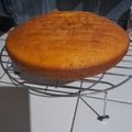El cooksnap de Carla Romina Beron cuando hizo Budín de mandarina en licuadora.