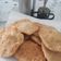 El cooksnap de karyynna cuando hizo Torta frita.