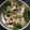 Nasim Panjwani's cooksnap of when they made ઢોકળા (Dhokla Recipe in Gujarati).