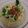 Cooksnap dari Rita Noviyanti untuk resep Mie rebus ayam bawang ala ala