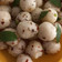 Daxita Shah's cooksnap of when they made ગોલી ઈડલી (Goli Idli recipe in Gujarati).
