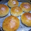 El cooksnap de Lili Montevideo cuando hizo Tortugas para guardar en el frezzer (masa en panetera).
