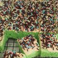 Cooksnap dari mamamey untuk resep Bolu kukus pandan hias, hanya 2 telur