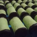 Cooksnap dari Suhanda Bogor untuk resep Roti Tawar Gulung isi pisang coklat (tanpa oven tanpa kukus)