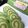 Cooksnap dari Rozi Aldriyanti untuk resep Bulo gulung pandan roti tawar kukus