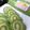 Cooksnap dari Rozi Aldriyanti untuk resep Bulo gulung pandan roti tawar kukus