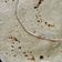 Varsha Monani's cooksnap of when they made ઘઉં ની રોટલી (Wheat Rotli Recipe In Gujarati).