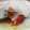 El cooksnap de Paula cuando hizo Lasaña ligera sin pasta, de calabaza y calabacín .