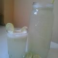 El cooksnap de Jhosselin QA cuando hizo Limonada de campo.