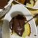 صورة من om njoud، شاركها بعد تجربة وصفة صوص الشوكولاتة للكيك 🍫