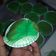 Cooksnap dari Ade Yuniarsih untuk resep Pandan Hokkaido Chiffon Cupcake