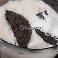 Rakhi Gupta का कुकस्नैप जब उन्होंने ओरियो बनाना शेक (oreo banana shake recipe in Hindi) बनाया था।