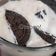 Rakhi Gupta का कुकस्नैप जब उन्होंने ओरियो बनाना शेक (oreo banana shake recipe in Hindi) बनाया था।