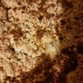 El cooksnap de sandra calcagno cuando hizo Crumble de manzana 🍏.