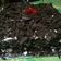 Cooksnap dari Nikita Ristianti Moniq untuk resep BLACKFOREST cake Mudah