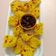 heena's cooksnap of when they made ઢોકળા (Dhokla Recipe In Gujarati).