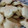 El cooksnap de Sandra Rodríguez cuando hizo Galletitas de chocolate y coco re fáciles.