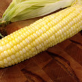 pomdoro's cooksnap of when they made Rick's Quick and Clean Corn on the Cob.