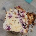 El cooksnap de Vanesa Cristal cuando hizo Kuchen de frambuesas y migas.