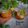 Cooksnap dari afa kitchen untuk resep Passion Fruit Ice Tea