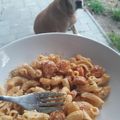 Gnori Cooksnap-ja, amikor elkészítette a(z) Virslis-tejfölös tészta receptet.