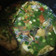 Cooksnap dari Lutvia Daud untuk resep Sup/Pindang Ikan Patin Bumbu Iris Yummy