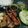 Cooksnap dari Luthfina Zahara untuk resep Pecel Ayam Lalapan (Lamongan)