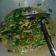 Cooksnap dari Nurjanah untuk resep Oseng Kangkung Saori Saus Tiram.