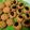 Cooksnap dari Desi Pujilestari untuk resep Rookie Cookie Ekitchen #keto_cp_ekitchen