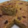 Cooksnap dari Ika Kusumawati untuk resep Gluten-free Pumpkin Cake
