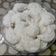 Cooksnap dari dyah ayu untuk resep Putri salju NCC
