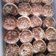 Cooksnap dari Erna Chacha untuk resep Brownis mini kering