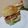 Cooksnap dari Helena untuk resep KSB Burger Bun