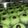 Cooksnap dari Ayun Nurul fatimah untuk resep Pandan Coklat Cookies #berbagirahmat