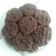 Cooksnap dari Lastri Adgib untuk resep Good Time Chocochips Cookies Kering #KamisManis