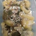 El cooksnap de Emiliano Gonzalez cuando hizo Escabeche de berenjenas.