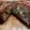 Marilyn 's cooksnap of when they made Bacon wrapped stuffed tenderloin.