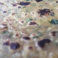 Jaya Dadhich 's cooksnap of when they made Palak paratha.
