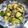 Shinchen Chen 的 奶油櫛瓜炒秀珍菇 cooksnap