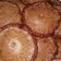 Cooksnap dari Nurul Jamila untuk resep Kue Cucur