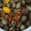Cooksnap dari ellis.rusli untuk resep Oseng Kerang Dara